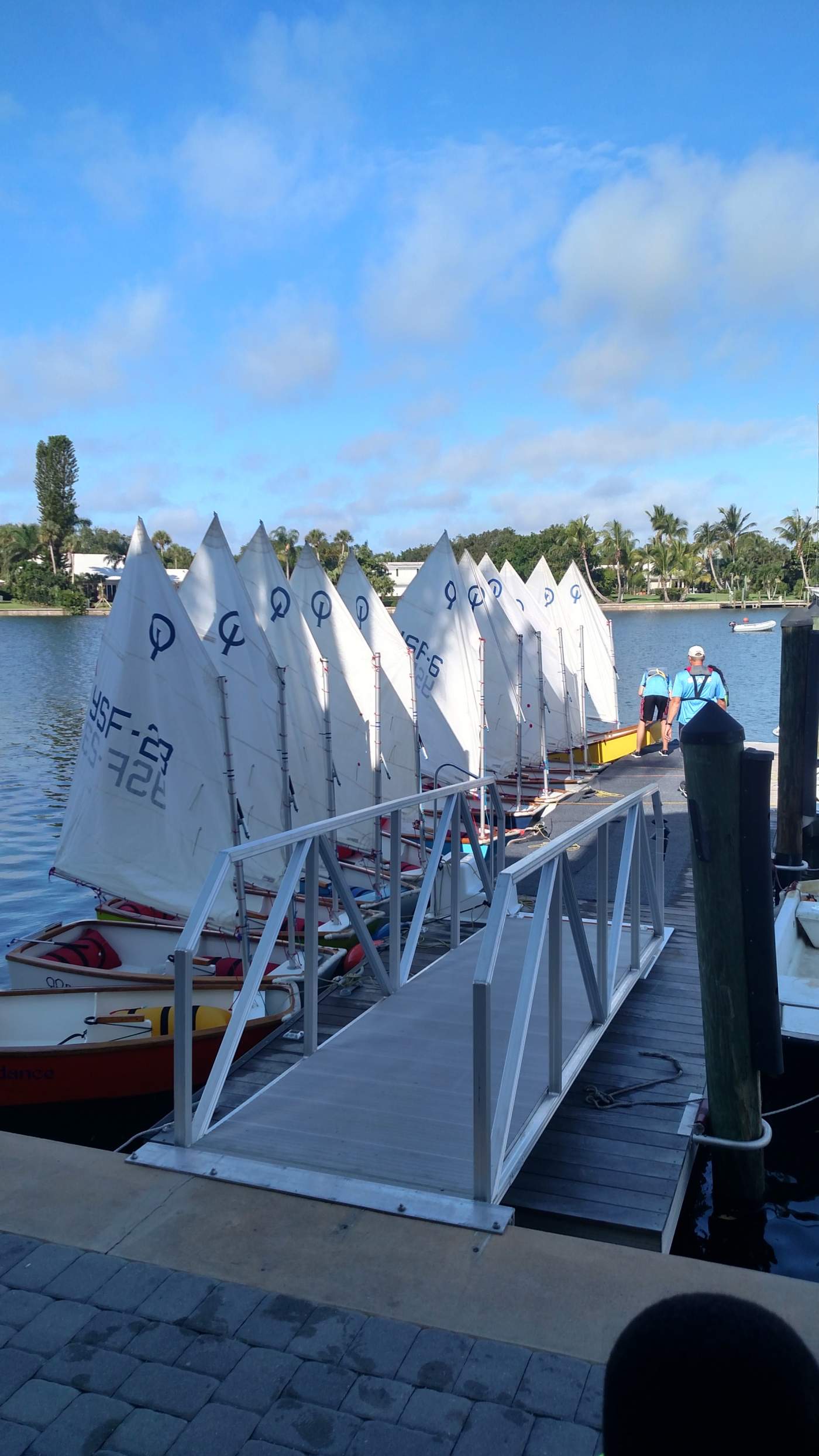 Docked sailboats